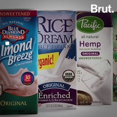 ¿Por qué es mejor la leche a base de plantas?