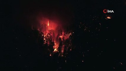 Muğla'da alevler geceyi gündüze çevirdi