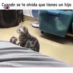 Cuando se nos olvida que tenemos hijos XD