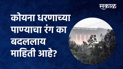 Koyna Dam Water : कोयना धरणाच्या पाण्याचा रंग का बदललाय माहिती आहे? | Satara | Karad | Sakal Media