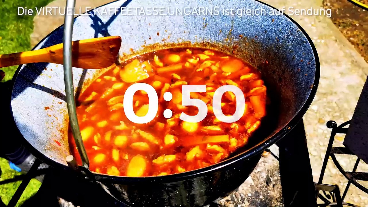 Die Virtuelle Kaffeetasse Ungarns am 04.08.2021
