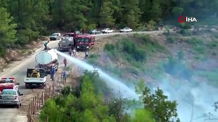 Mahalleye sıçrayan orman yangını muhtarı gözyaşlarına boğdu