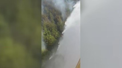 Köyceğiz'deki orman yangınına müdahale sürüyor