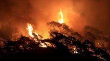 Son Dakika: Ticaret Bakanlığı, yangın söndürme ekipmanlarına yapılan fahiş fiyat artışlarıyla ilgili inceleme başlattı