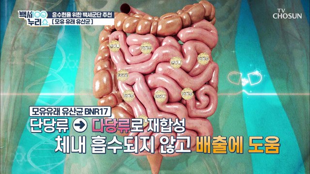 다이어트는 물론 면역력도 높여 주는 ▶모유 유래 유산균◀TV CHOSUN 20210804 방송