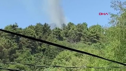 Son Dakika | Beykoz'da ormanlık alanda yangın (2)