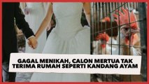 Curhat Wanita Gagal Menikah Gegara Calon Mertua Tak Terima Rumah seperti Kandang Ayam