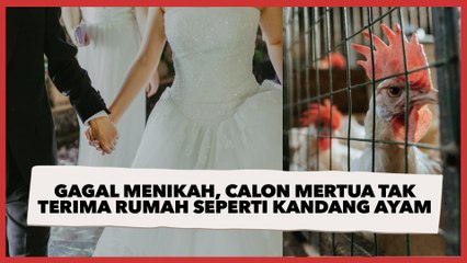 Curhat Wanita Gagal Menikah Gegara Calon Mertua Tak Terima Rumah seperti Kandang Ayam