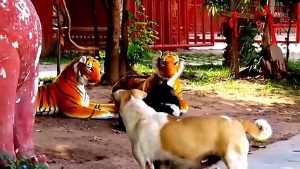 PRANKING DOG WITH FAKE TIGER 