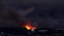 Athens wakes as wildfires burn through the night