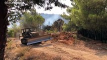 El incendio en la región de Atenas está controlado pero preocupa a las autoridades