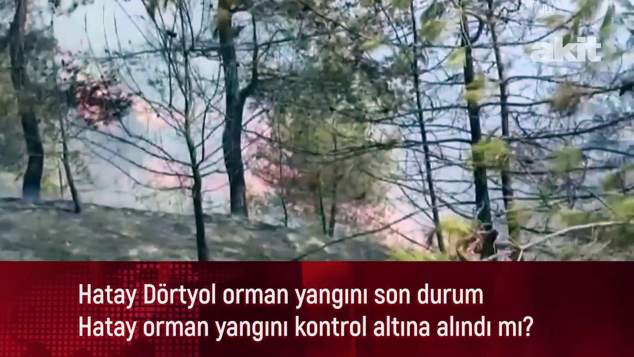 Hatay Dörtyol orman yangını son durum | Hayat orman yangını kontrol altına alındı mı?