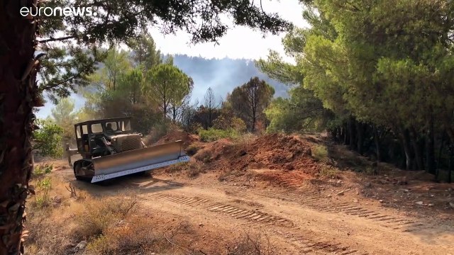 Лесной пожар в пригороде Афин