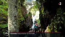 Pyrénées : la nature fragilisée par l’afflux de touristes