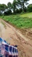 कलेक्टर को छात्रा का पत्र, लिखा- कीचड़ से स्कूल नहीं जा पाते आप ही कर सकते हैं कृपा