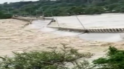 Watch: Bridge swept away in Madhya Pradesh's Datia district
