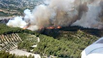 Hatay'da orman yangınına müdahale ediliyor