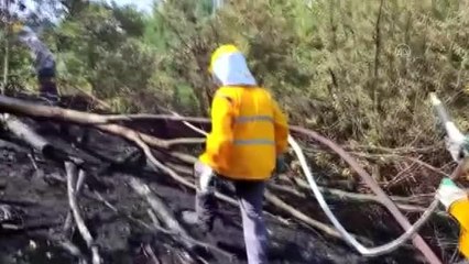 Son dakika haberleri... Ormanlık alanda çıkan yangın söndürüldü