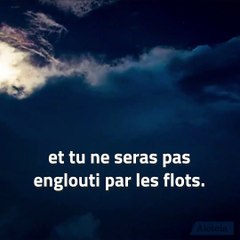 Avec saint Bernard de Clairvaux, regardez Marie !