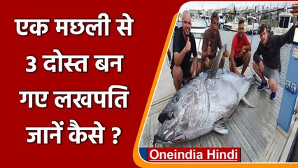 Bluefin tuna fish: एक मछली ने तीन दोस्तों को बनाया लखपति, जानें क्या है खासियत? | वनइंडिया हिंदी