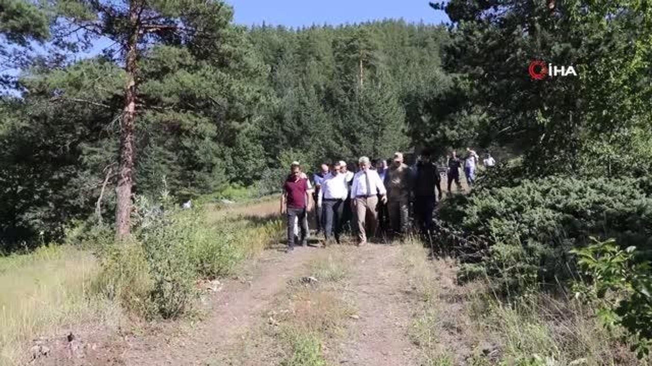 Son dakika haberi | Erzincan'da orman yangını büyümeden kontrol altına alındı