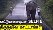 Sathyamangalam forestல் காட்டு யானையுடன் Selfie எடுத்தபோது | Oneindia Tamil