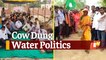 Odisha Congress Launches Protest, Ruling-BJD ‘Purifies’ Venue With Cow Dung Water