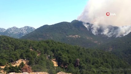 Eynif Ovasına yaklaşan yangına müdahale sürüyor