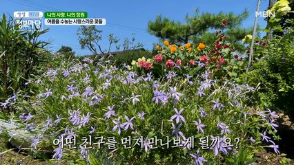 사랑스러운 여름 꽃이 가득한 뜨락