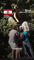 Esta asociación en el Líbano rescata a los animales afectados por la explosión de Beirut