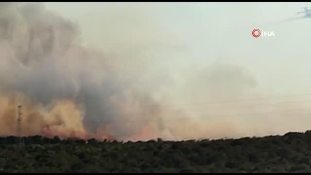 Son dakika! İzmir'in Urla ilçesindeki makilik alan yangını kontrol altında