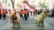 The Tiger Chinese New Year Shuffle
