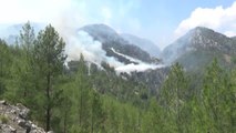 Köyceğiz ilçesindeki orman yangınına müdahale