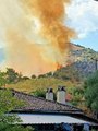 Son dakika haber! Karacasu'da zeytinlik yangını; alevler ormanı tehdit ediyor