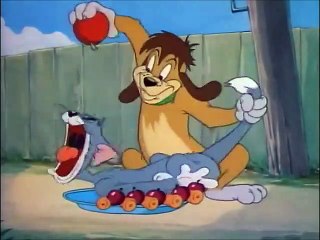 Tom and Jerry, 35 Episode - The Truce Hurts (1948)