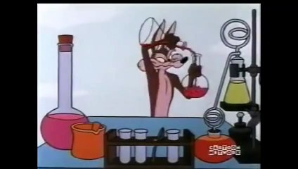 Road Runner - invisible ink   Papa-Léguas - tinta invisível