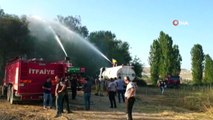 Nallıhan Kuş Cenneti'nde ormanlık alanda yangın yeniden alevlendi