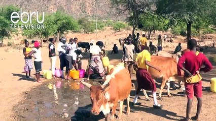 Polisi Kaunti Ya Kiambu Wameanzisha Uchunguzi Baada Ya Mfanyabiashara Mmoja Kudaiwa Kumuua Mkewe Na Baadaye Kujitoa Uhai.