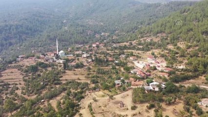 Manavgat'taki orman yangınına karadan ve havadan müdahale sürüyor