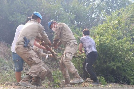 Son dakika haber... Jandarma Genel Komutanlığı: Yangın söndürme çalışmalarına 2 bin 630 personel, 339 araç ve 6 helikopterle ile destek veriliyor