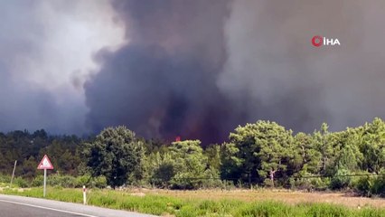 Manavgat'taki yangını 12 yaşındaki çocuk çıkarmış
