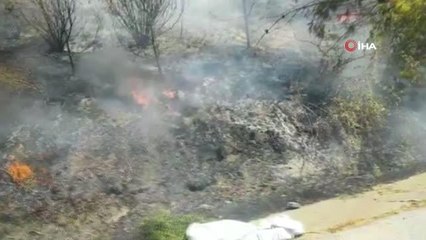 Hatay'da orman yangını