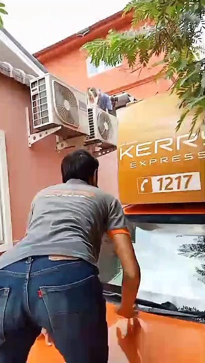 Good Samaritans Rescue Dog Stuck on Roof