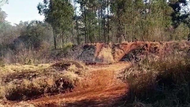 Bombeiros combatem incêndio em vegetação na Rua Misael Mendonça no Santa Felicidade