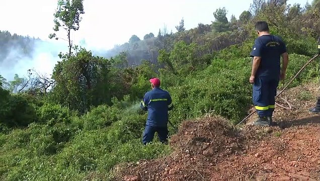 Сгорели легкие Аттики: лесные пожары в Греции