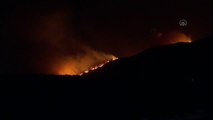 Milas ilçesindeki orman yangını Kemerköy Termik Santrali'nin tel örgülerine kadar yaklaştı (2)