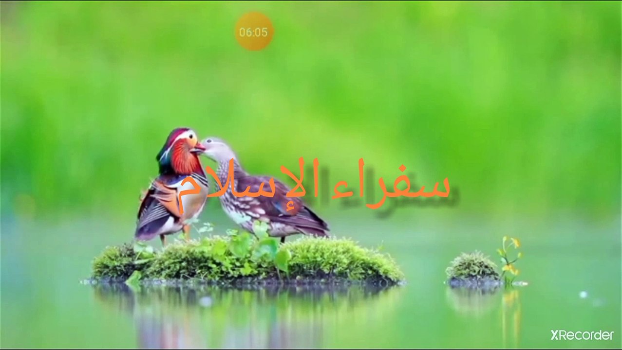 نقي قلبك القرآن الأحسان ثم الأحسان سفير المحبة إلى قلوب العباد