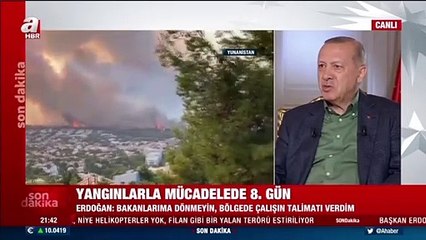 Erdoğan: Yerleşim bölgelerindeki yangın büyükşehir belediyelerinin sorumluluğundadır