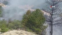 Nallıhan'da orman yangını, ekiplerin müdahalesi sürüyor