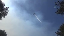 ANTALYA/MUĞLA - Orman yangınlarıyla mücadelede uçaklar da önemli rol üstleniyor (4)